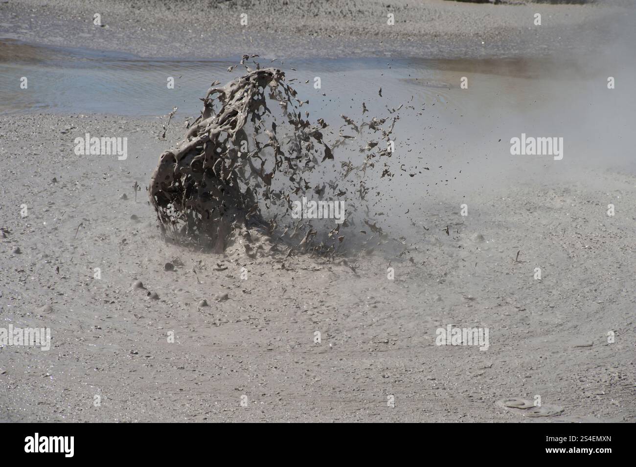 Erupting mudpot in the Waiotapu Geothermal System within the Waimangu Volcanic Valley on the North Island of New Zealand Stock Photo