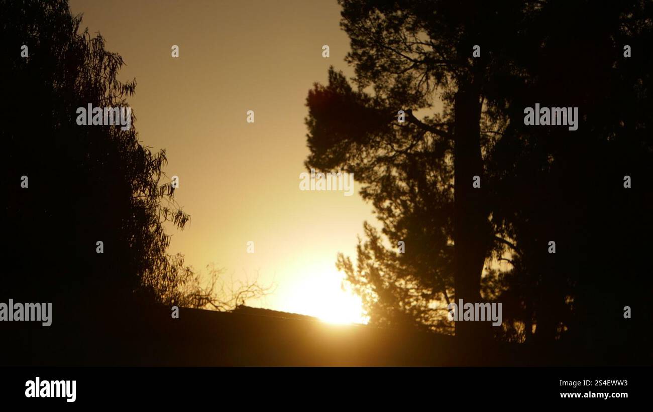 Los Angeles, California, USA 11th January 2025 Sunset and Trees during