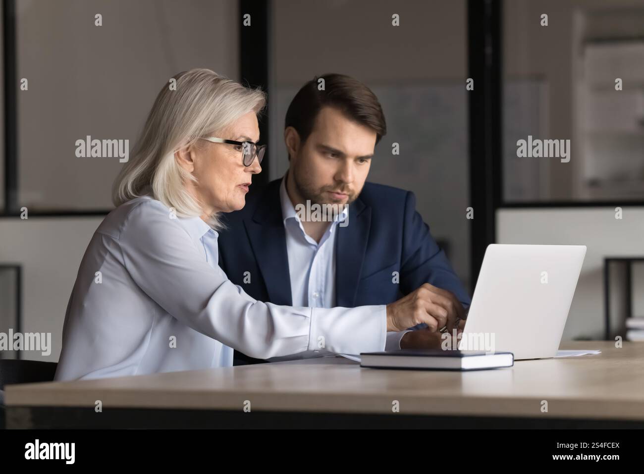 Teammates working collaborate on joint project using laptop Stock Photo