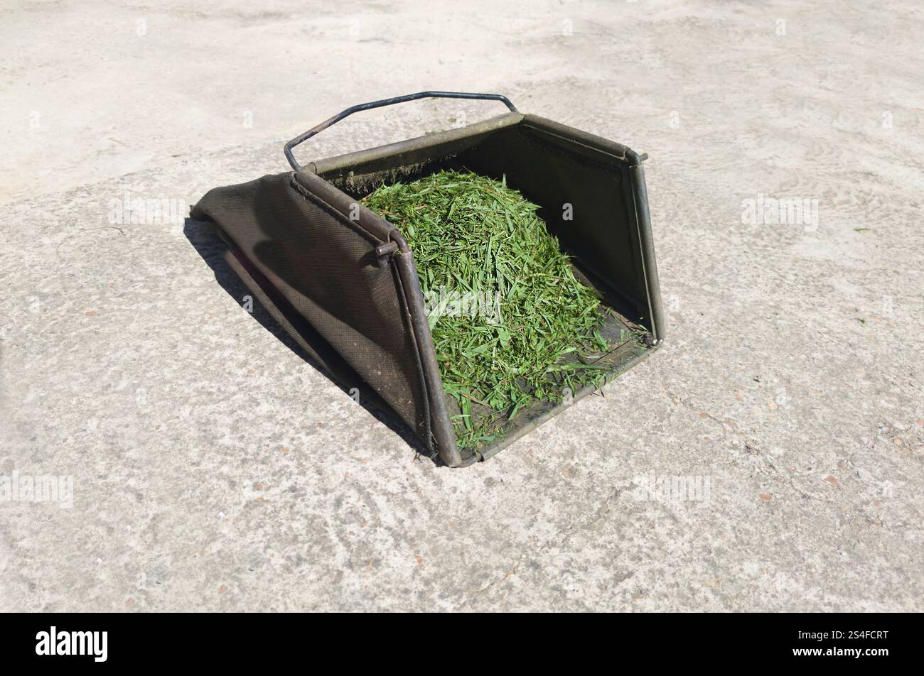 Full lawn mower bag after cutting grass. Powered machines for lawn