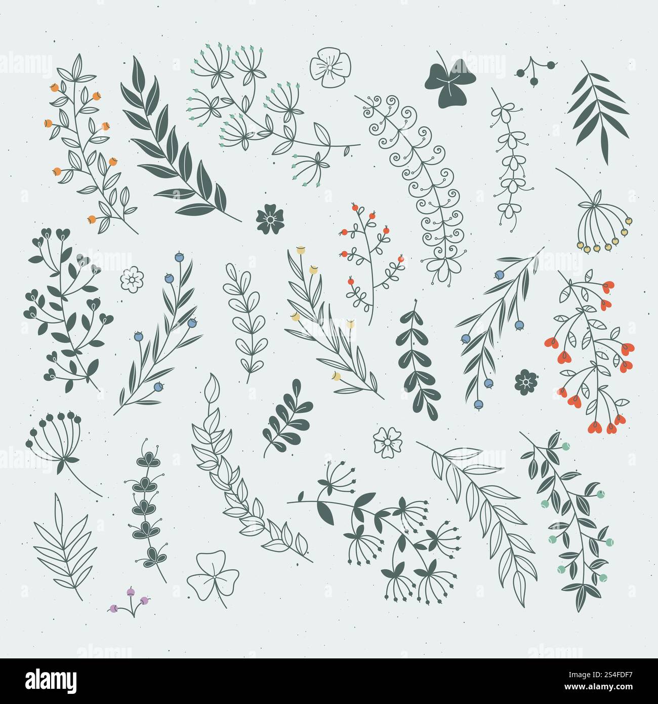 Decorative floral elements for design projects. Rustic branches and ...