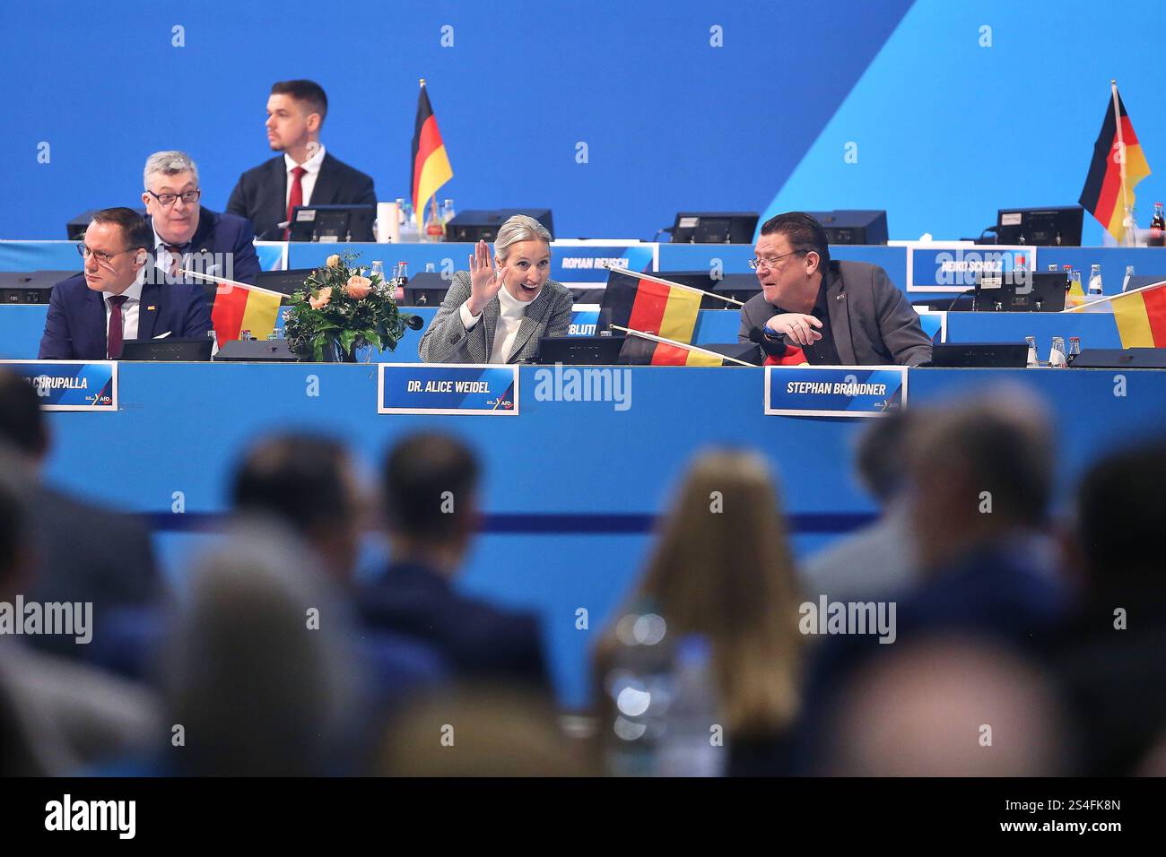 Civil Right Bundesparteitag Challenges and Political Realities