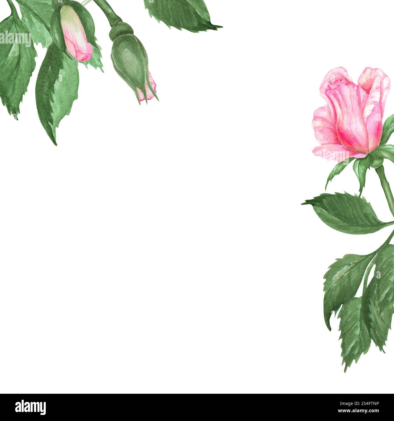 Elegant hand painted watercolor floral frame with pink roses and green ...