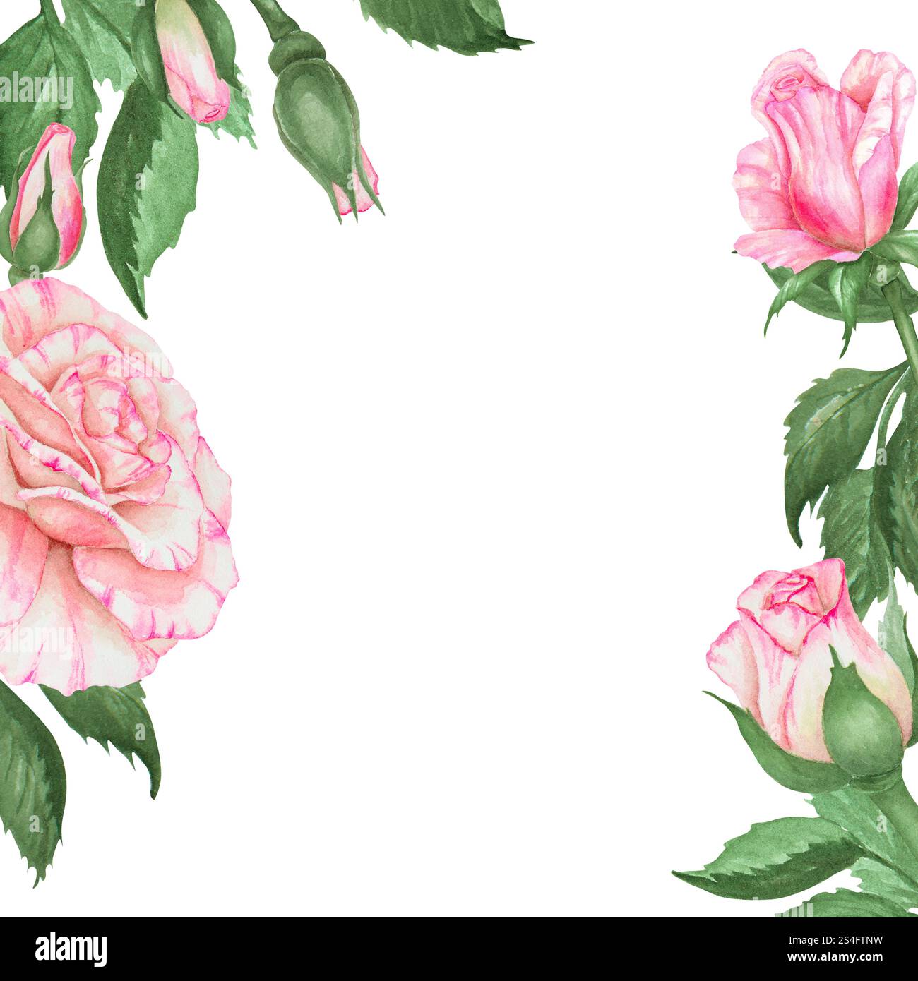 Charming hand painted watercolor floral border with pink roses and ...