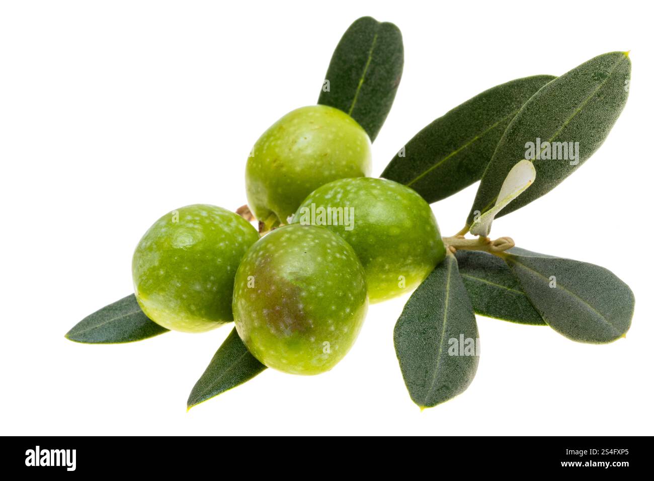 green olives isolated on white background Stock Photo - Alamy
