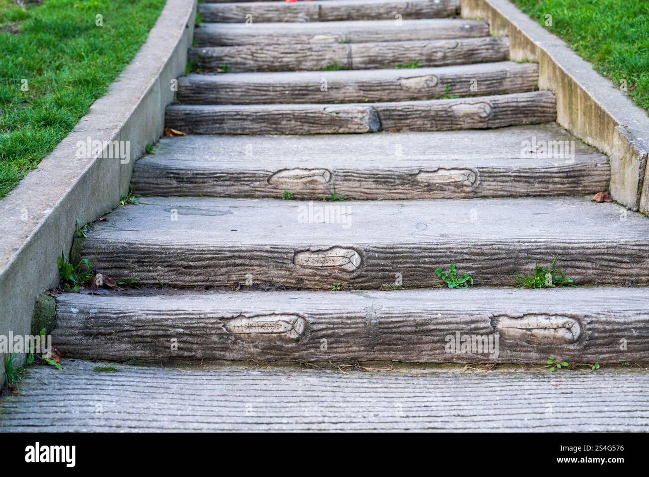 Timber Steps Texture Unique wood-patterned steps in a park create an inviting atmosphere ...