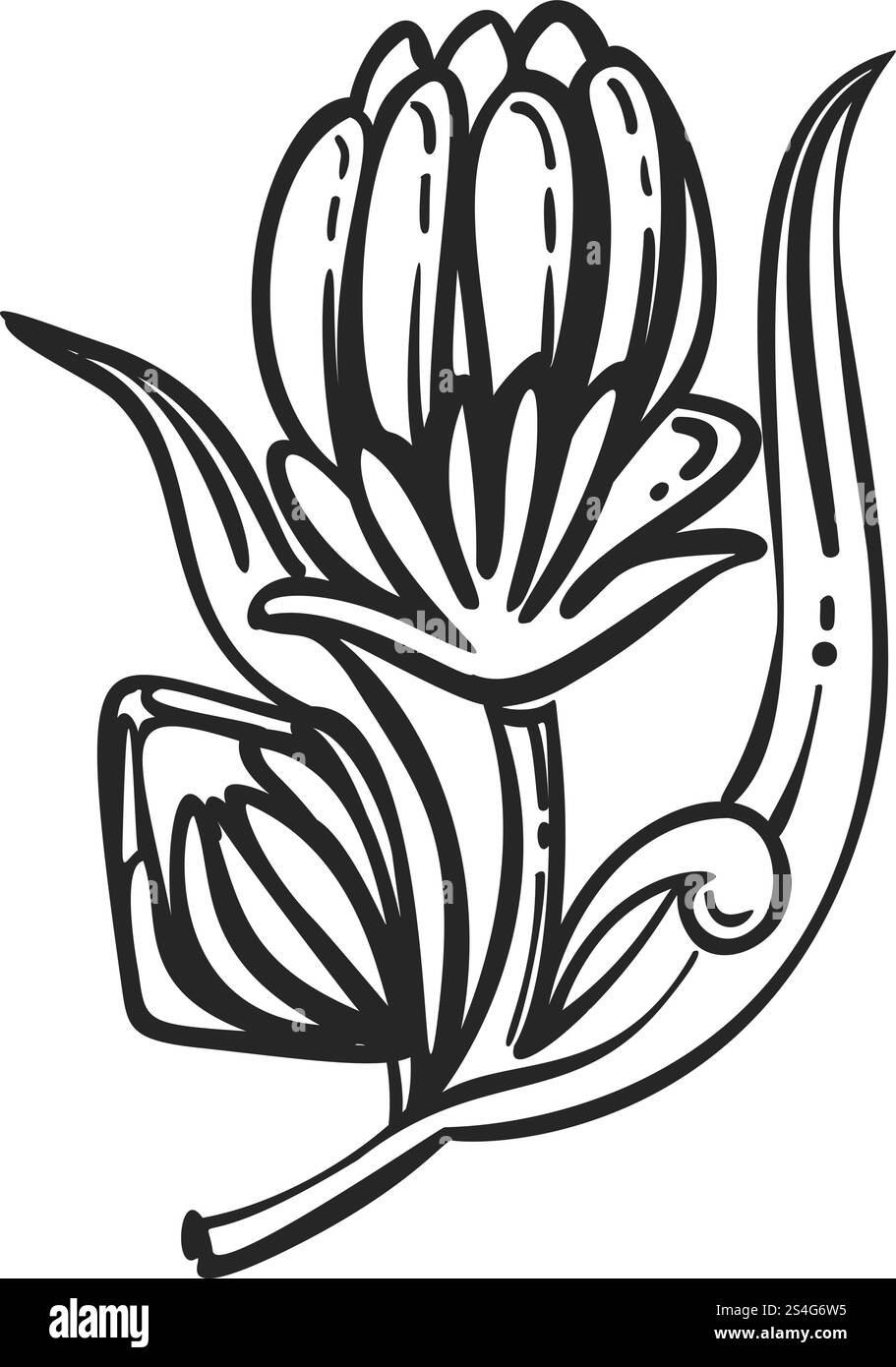 Medicine calendula icon. Simple illustration of medicine calendula ...