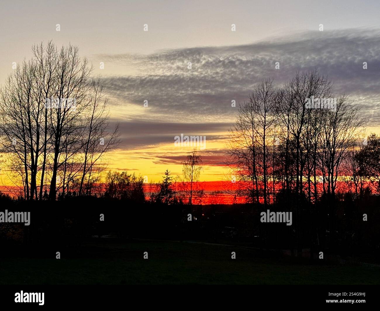 Dramatic autumn sunset sky in Finland, blending deep red and orange hues with silhouetted trees for a striking seasonal scene - Smartphone Captured Stock Image