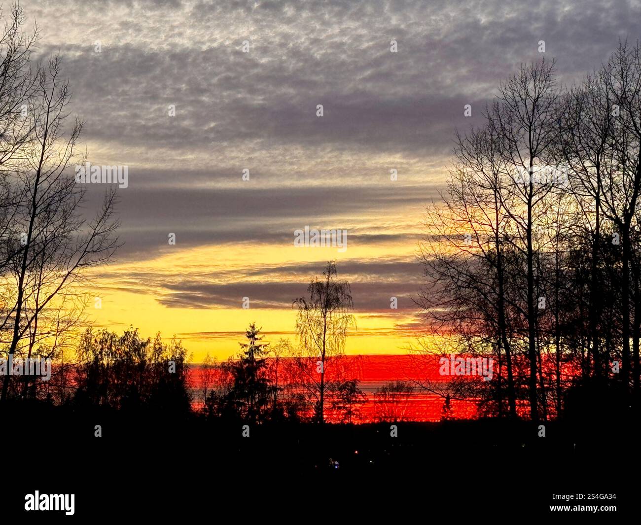 Dramatic autumn sunset sky in Finland, blending deep red and orange hues with silhouetted trees for a striking seasonal scene - Smartphone Captured Stock Image