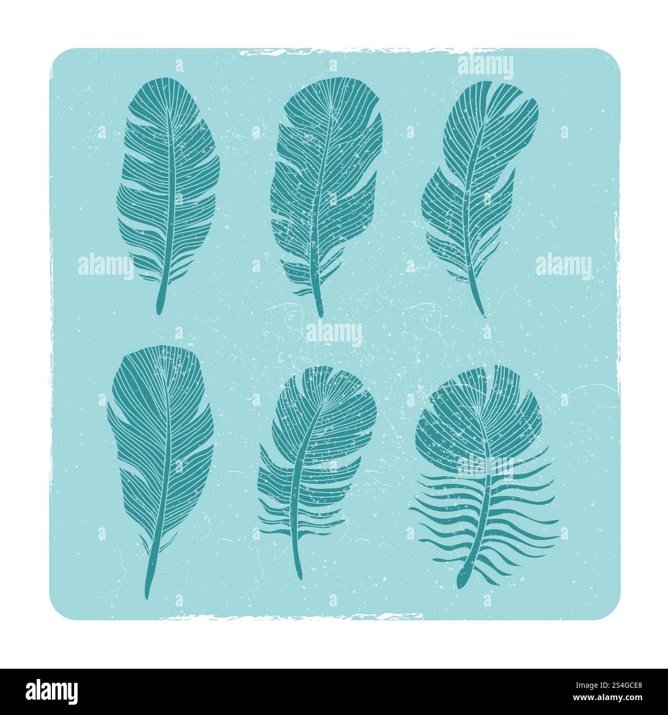 Grunge hand drawn birds feathers collection in frame. Vector ...