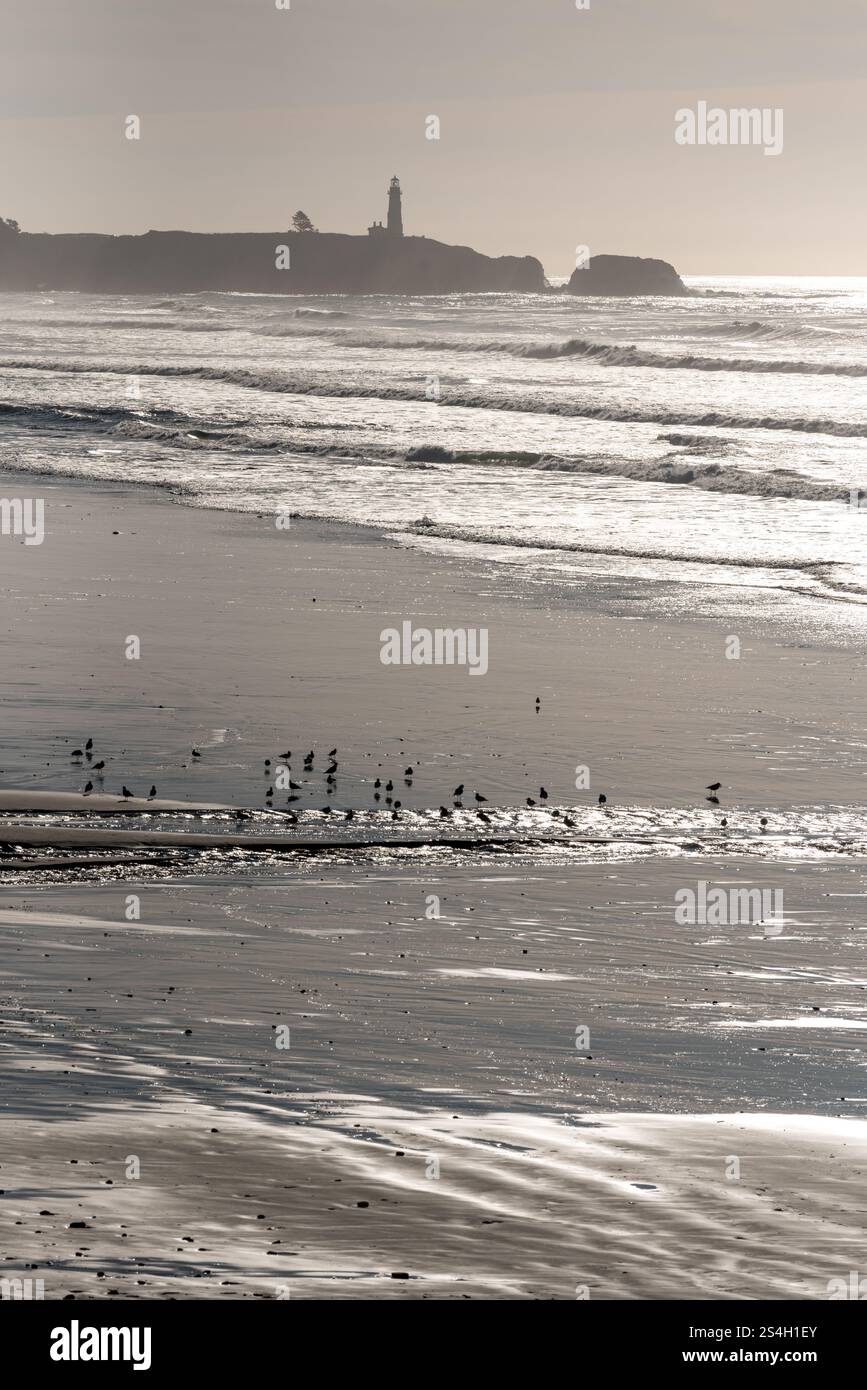 Moolach Beach and Yaquina Head, Oregon. Stock Photo