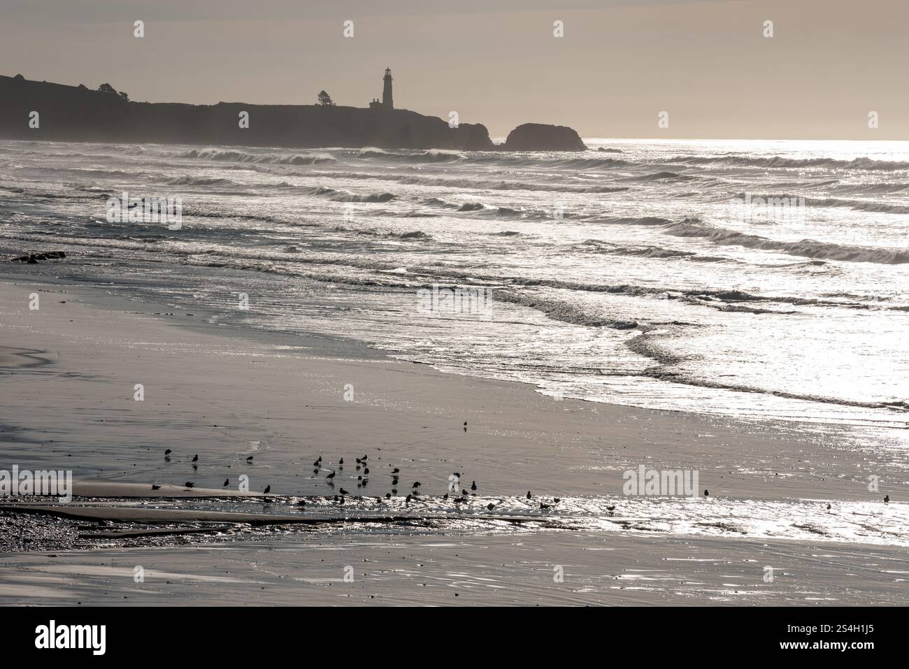Moolach Beach and Yaquina Head, Oregon. Stock Photo