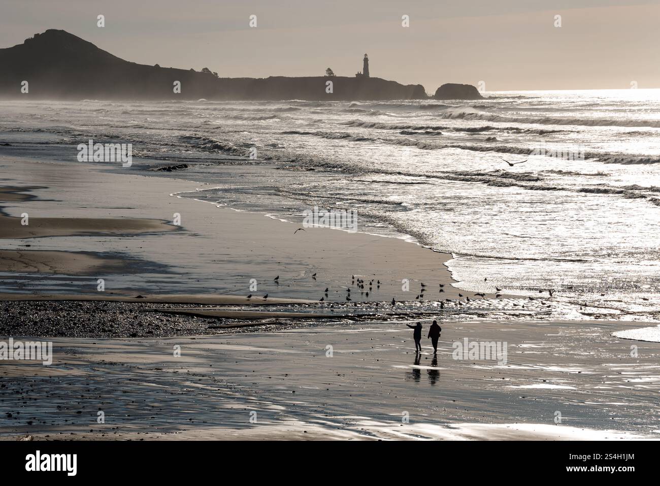 Walking on Moolach Beach, Oregon. Stock Photo