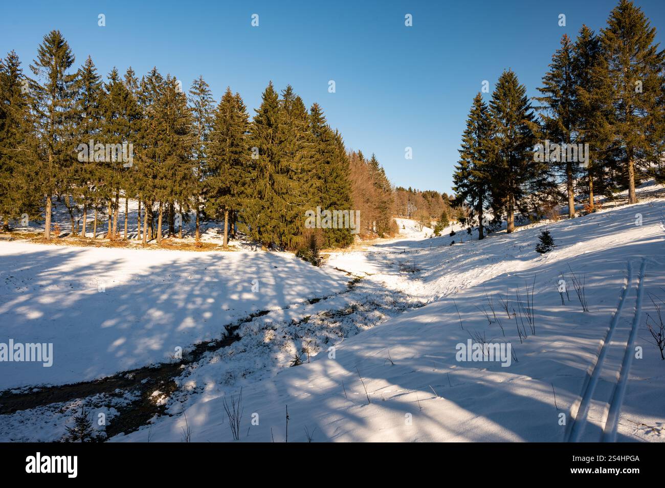winter landscape near Frauenwald in Thuringia Stock Photo