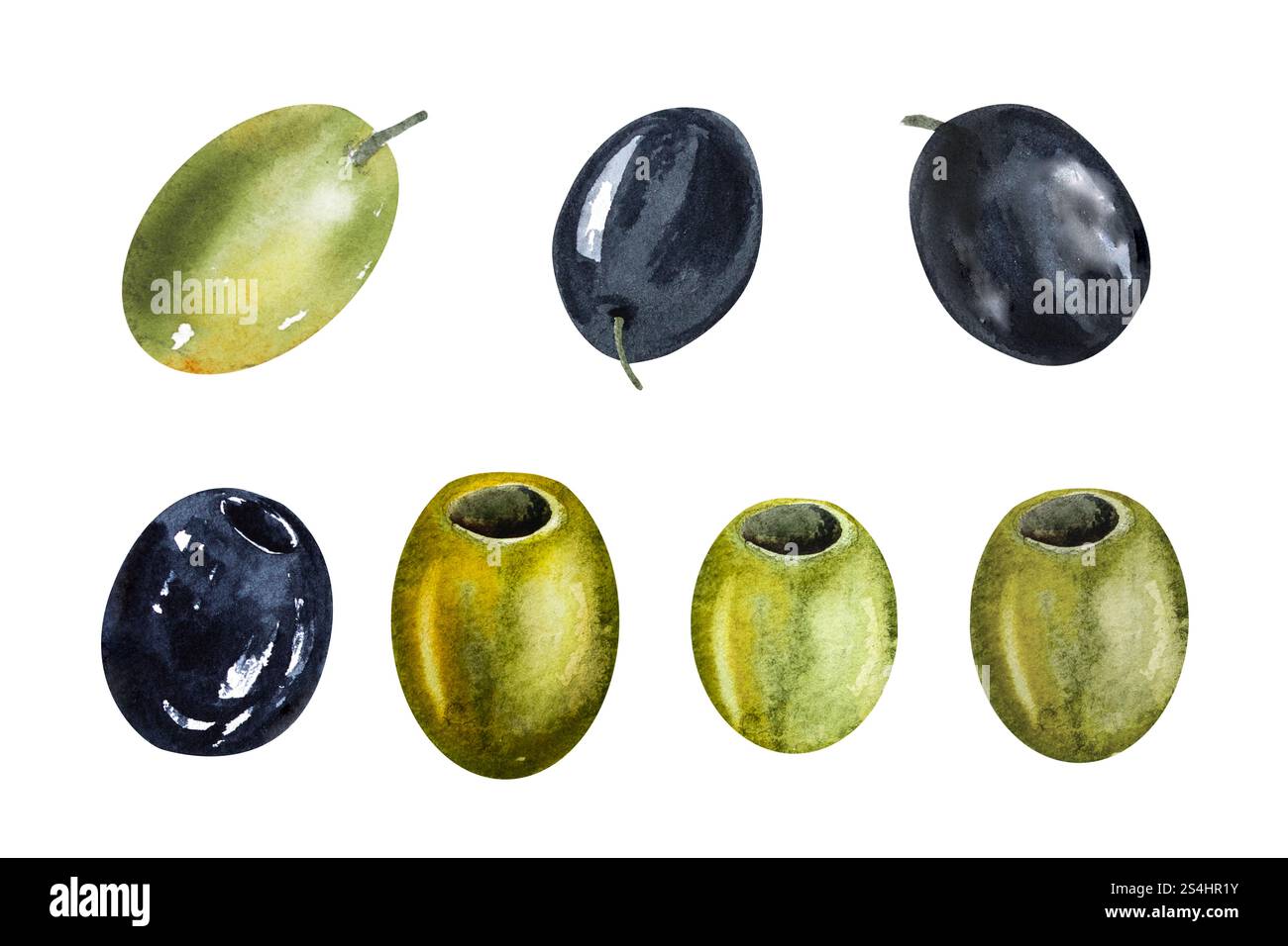 Watercolor illustrations set of olives and olives. Hand drawn ...