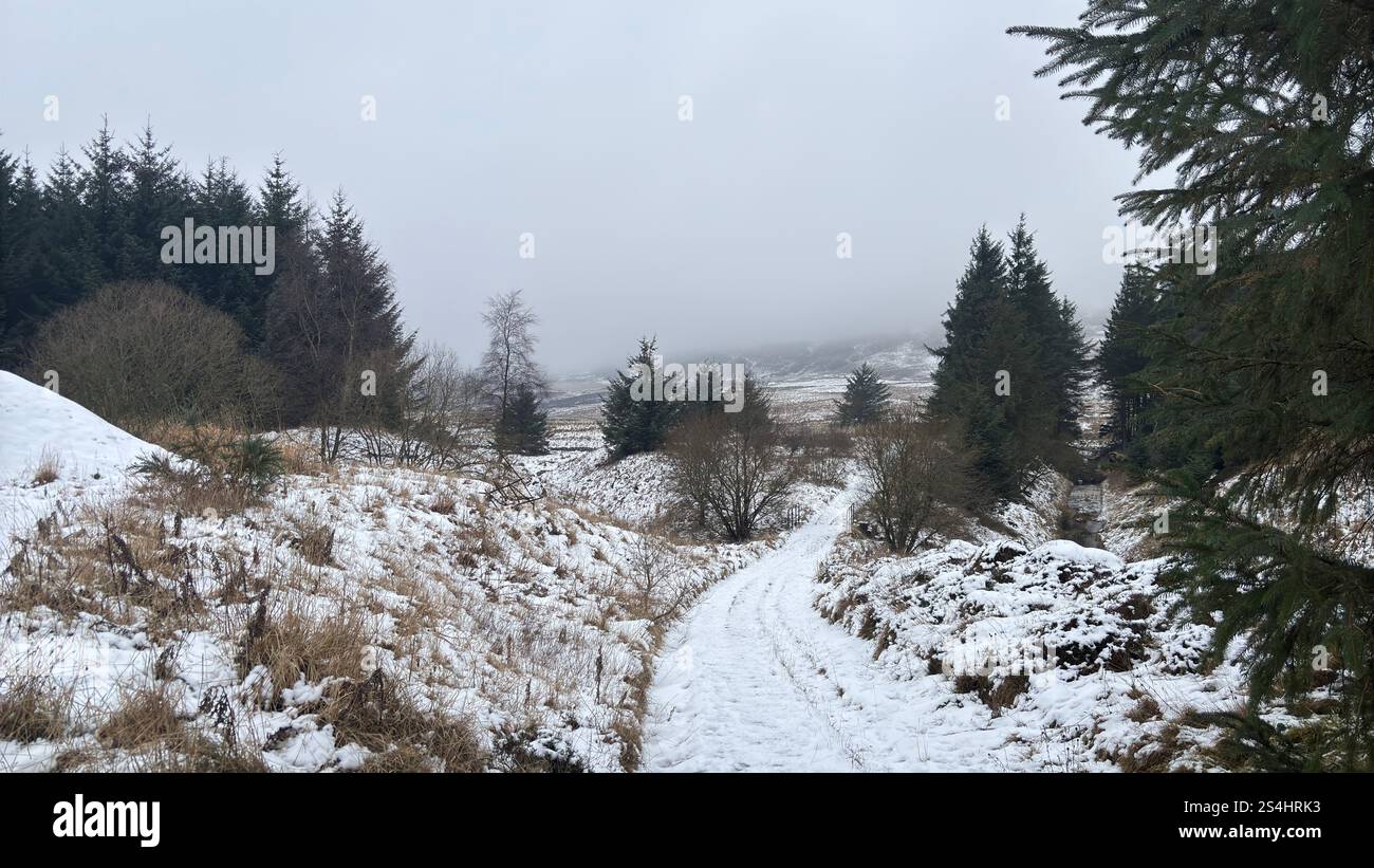 Glen Vale in the heart of Scotland between East and West Lomond hills. Ice and snow in winter - Smartphone Captured Stock Image