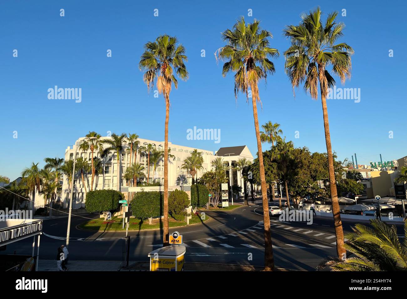 Looking towards the Princess Inspire Hotel and a set of tall palm trees. Costa Adeje, Tenerife, Canary Islands, Spain. 11th January 2025. - Smartphone Captured Stock Image