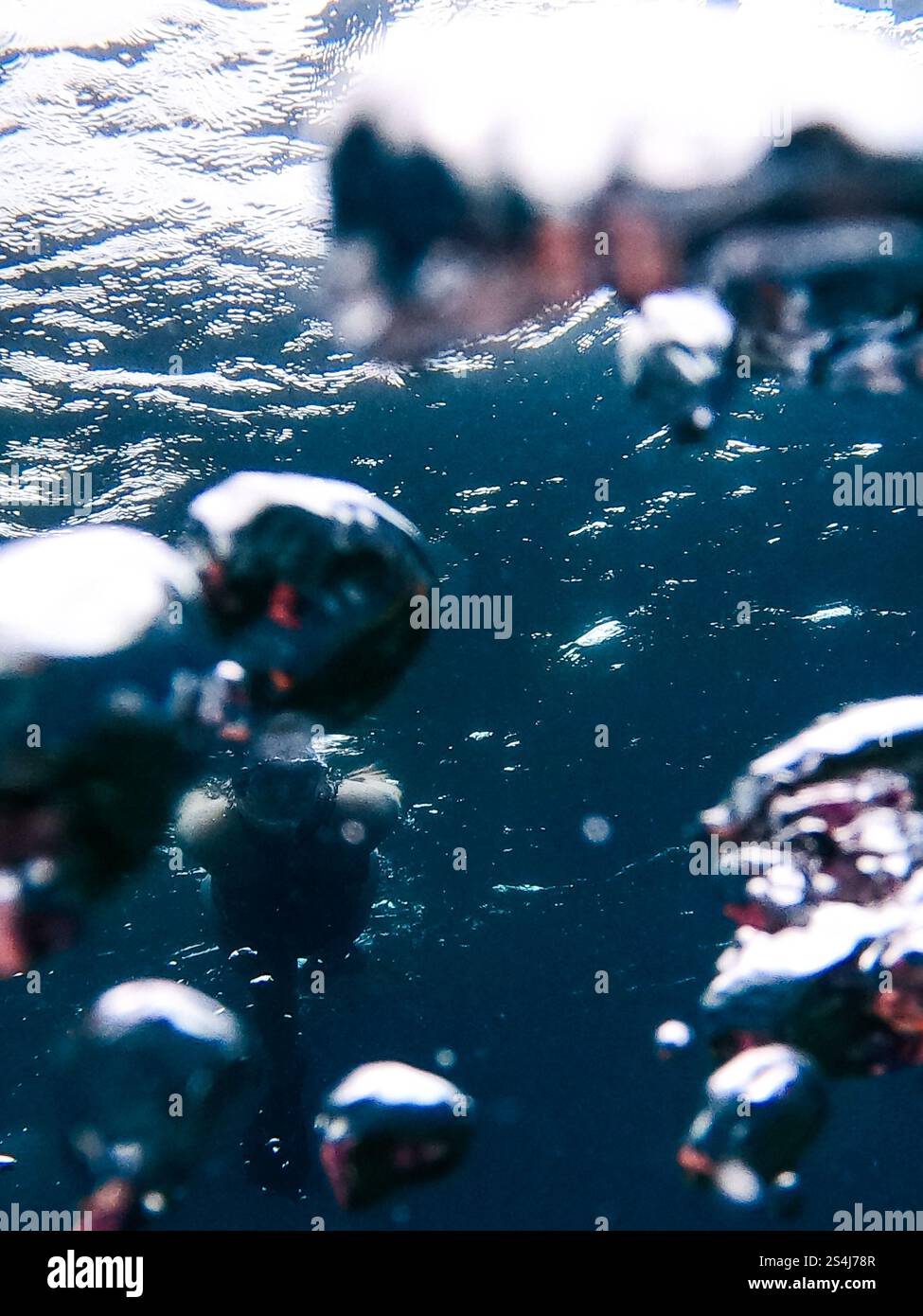 Bubbles rising to the waters surface hi-res stock photography and ...