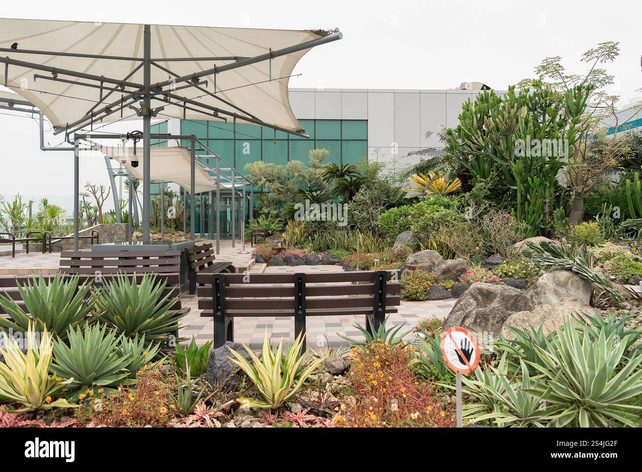 Rooftop cactus garden hi-res stock photography and images - Alamy