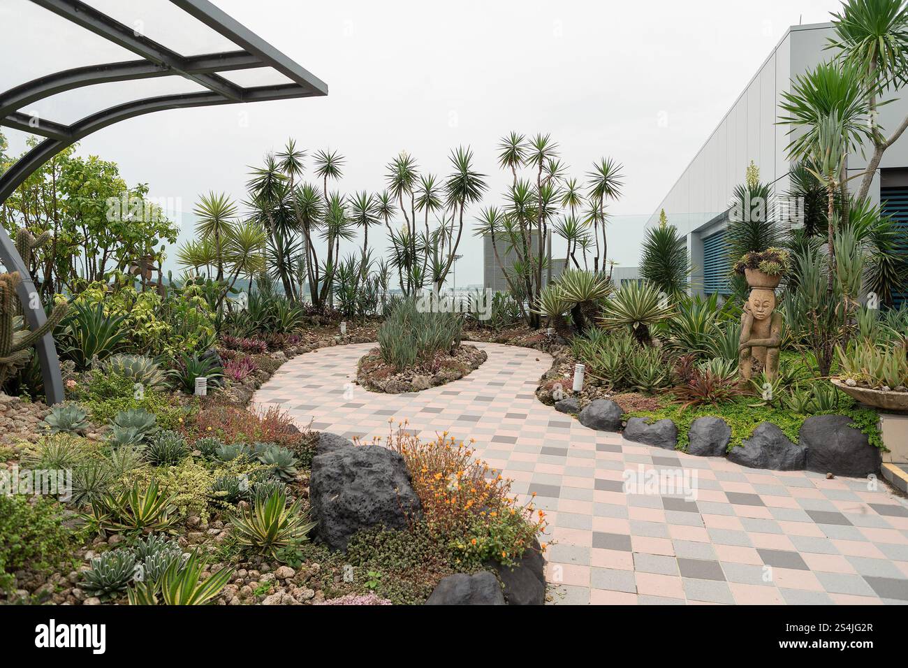 SINGAPORE - AUGUST 25, 2024: Cactus Garden at Changi Airport, featuring a  variety of cacti in a landscaped outdoor area Stock Photo - Alamy