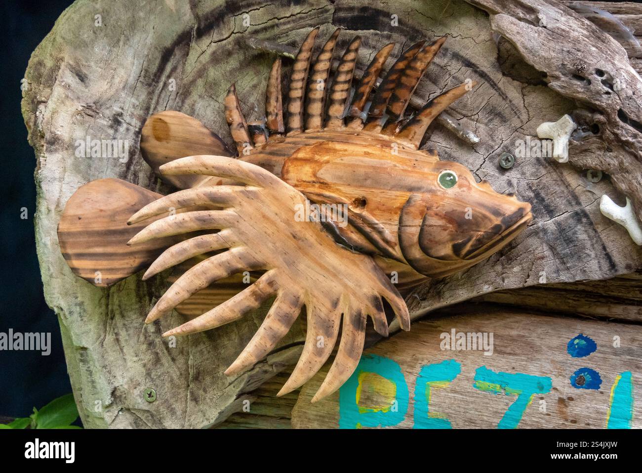 Wood Fish. Oceanario, Rosario Islands. Cartagena de Indias, Colombia ...