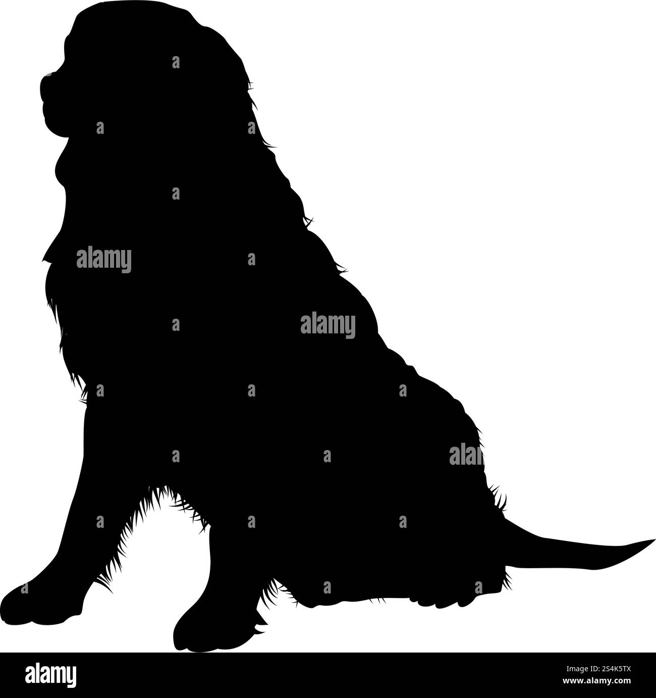Bernese Mountain Dog Silhouette. Smooth Vector Illustration. Stock Vector
