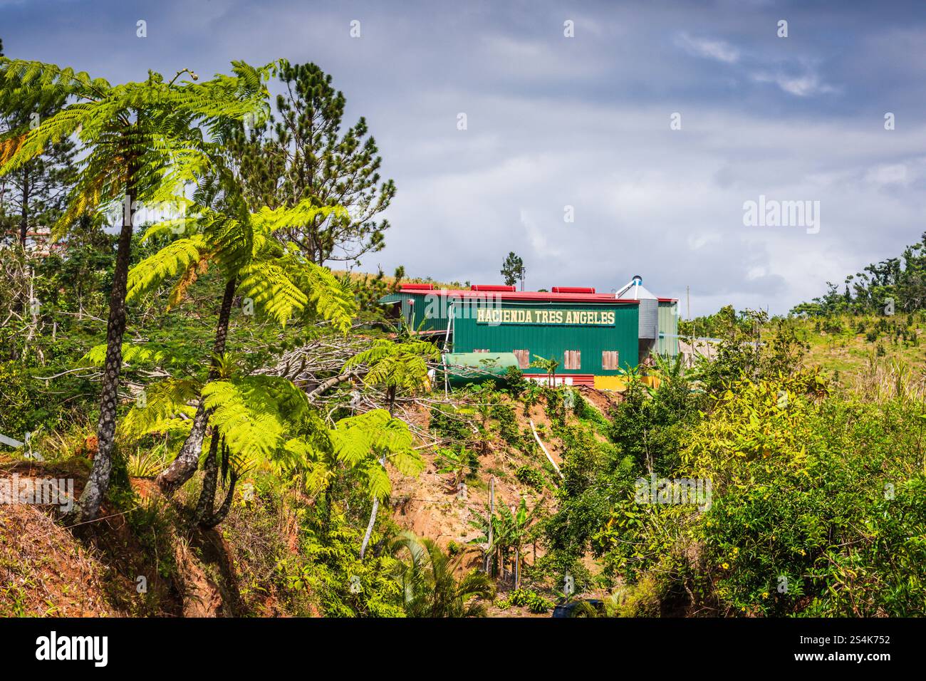 Preparación de suelo para invernaderos de tomate, image size:1300x956