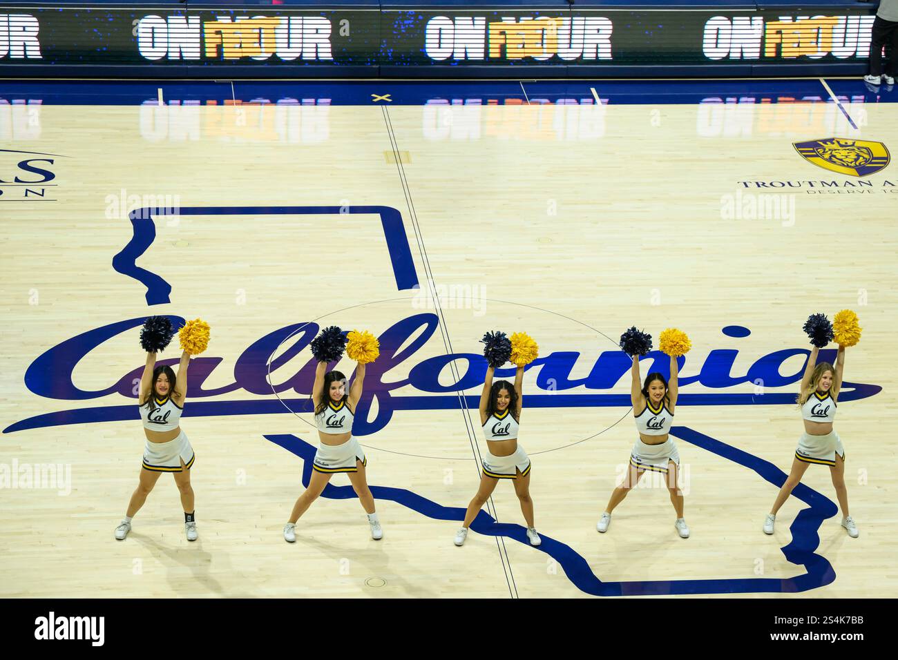 BERKELEY, CA - JANUARY 12: California Golden Bear cheerleader's perform ...
