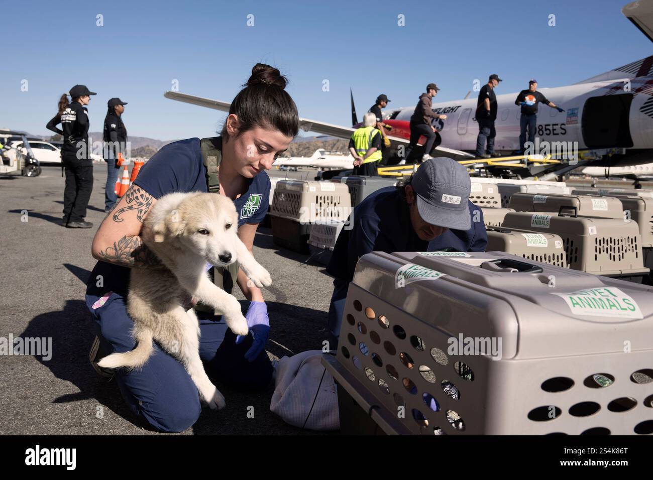 Timber Bossard, from left, and Rafael Rabines help Wings of Rescue load