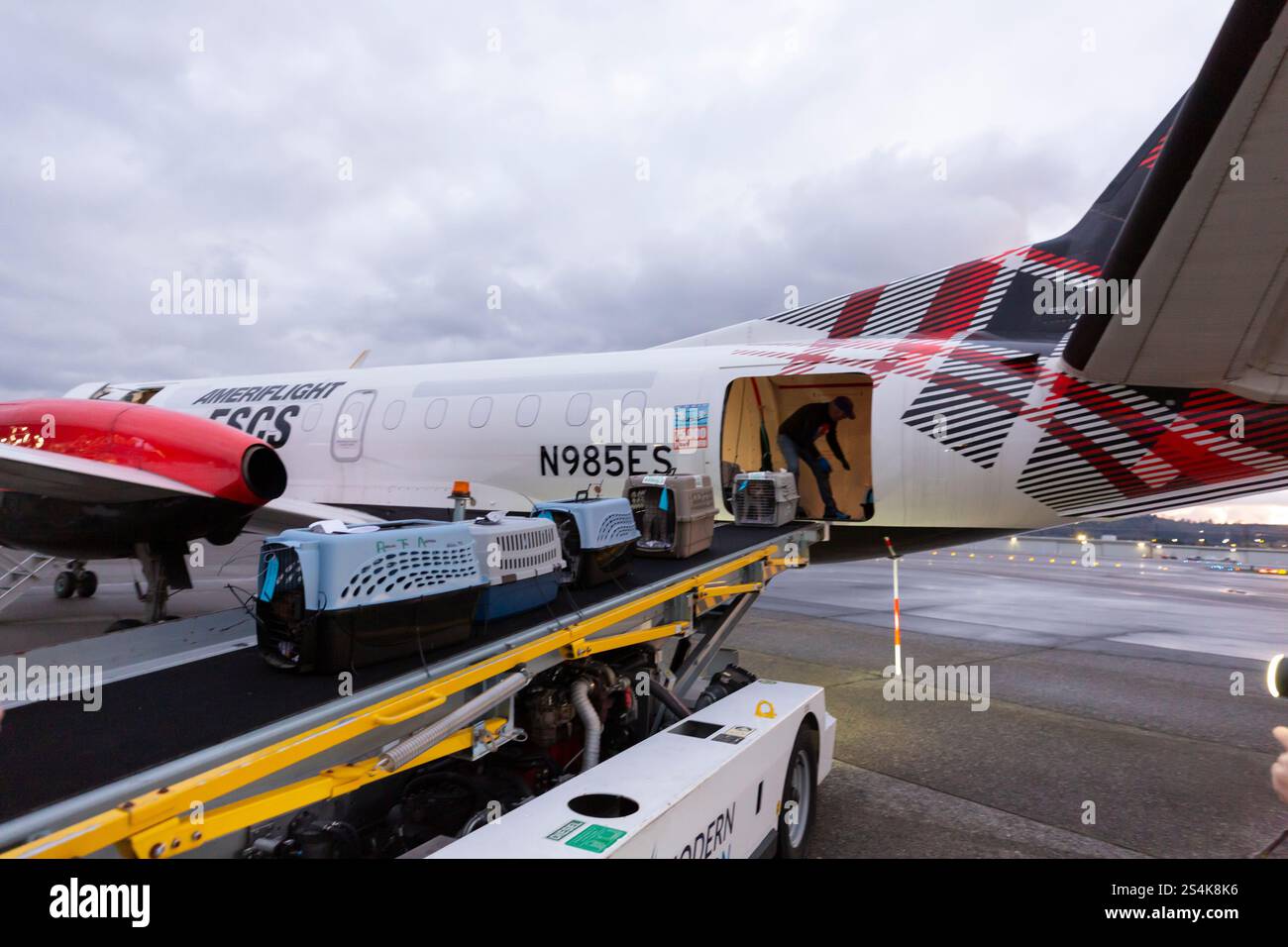 Seattle, Washington, USA. 12th January, 2025. Ric Browde, CEO of Wings