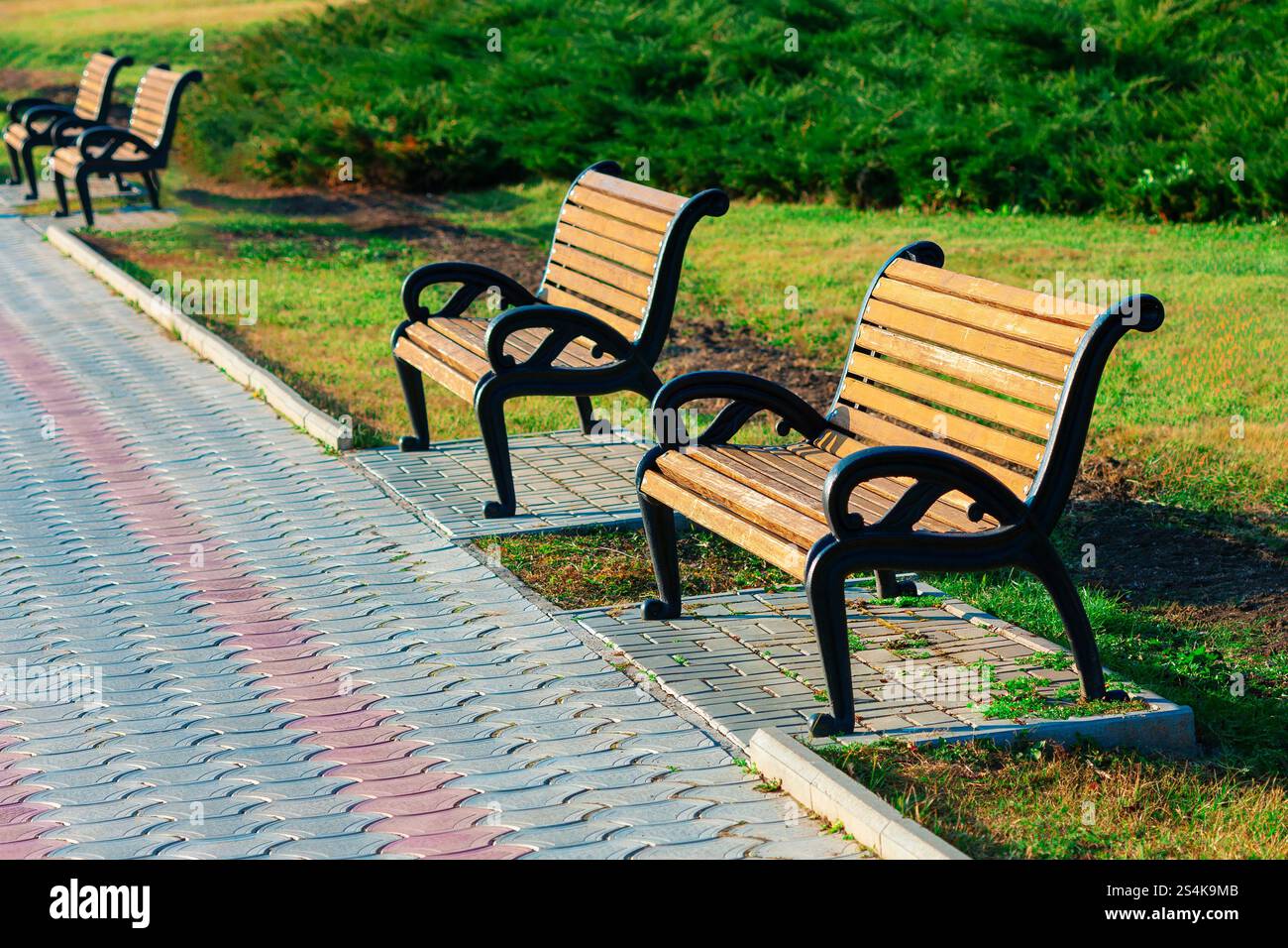 A row of wooden benches placed along a paved pathway in park. Benches ...