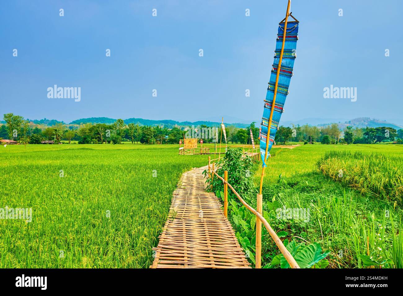 Walk the bamboo bridge among the juicy green paddy field, Chiang Rai ...