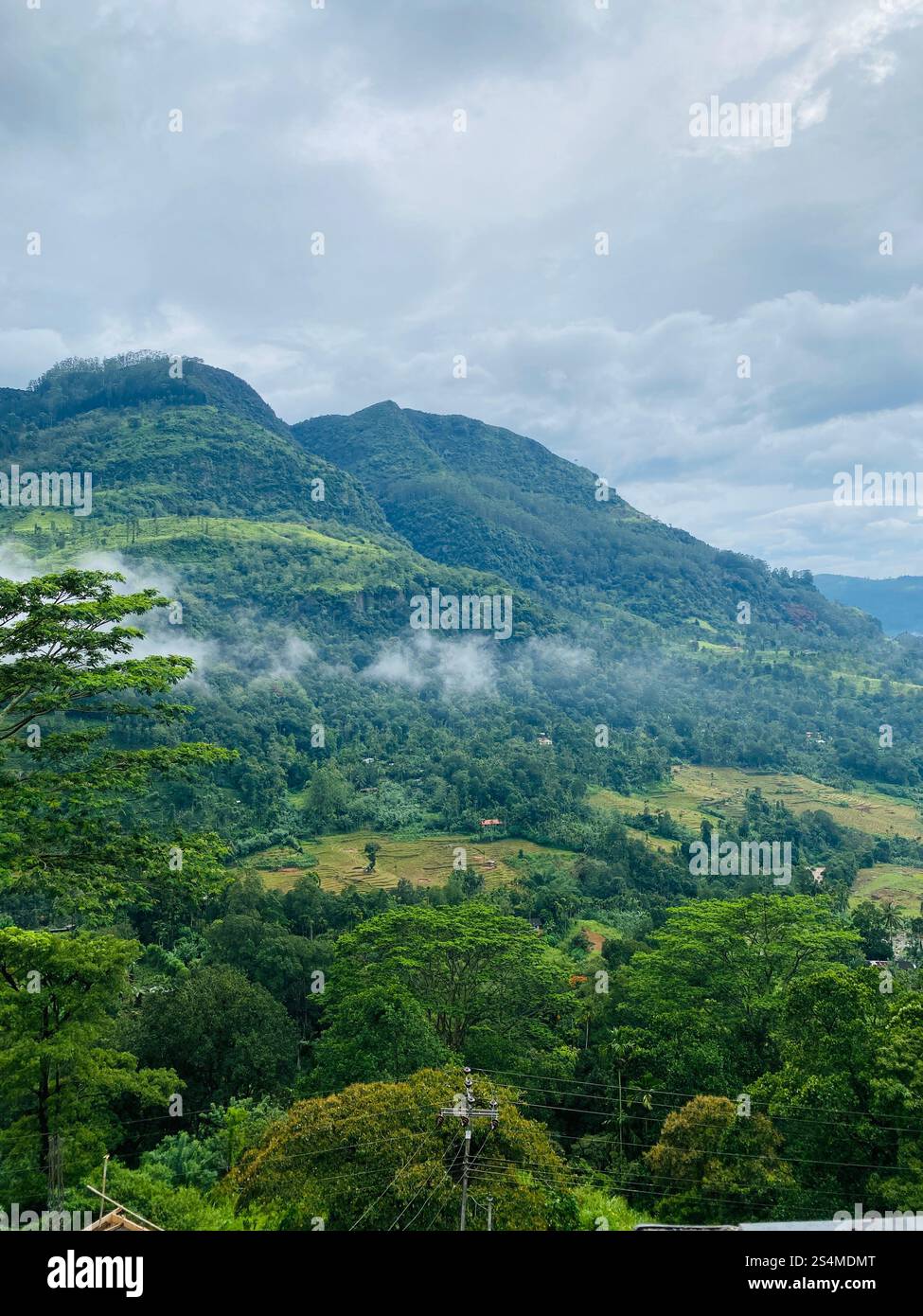 Nuwara Eliya Landscapes and Train Routes - Smartphone Captured Stock Image