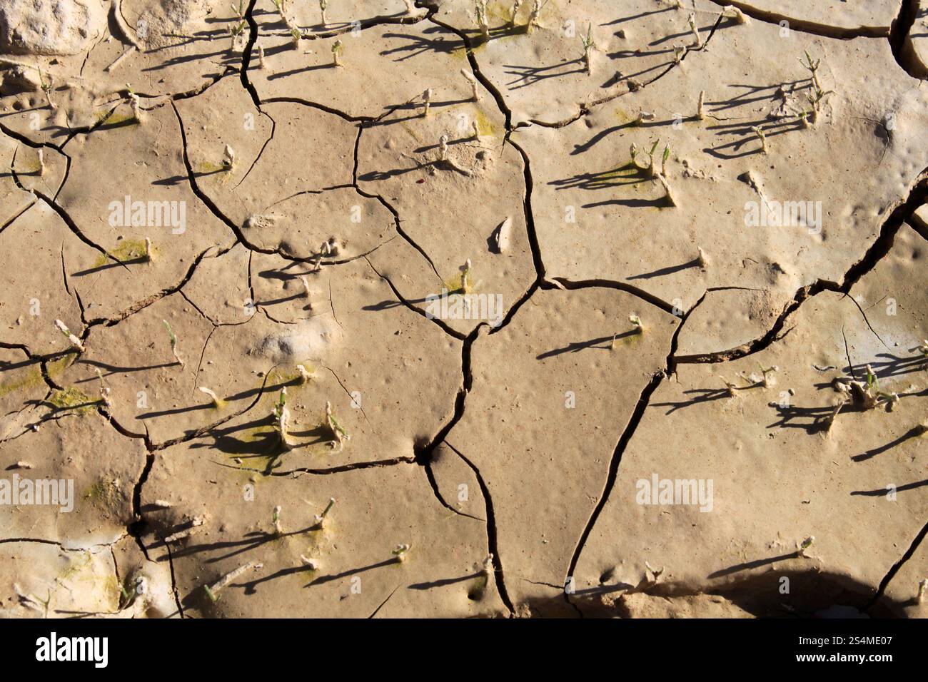 Dry and cracked soil after a drought, climate change concept Stock ...