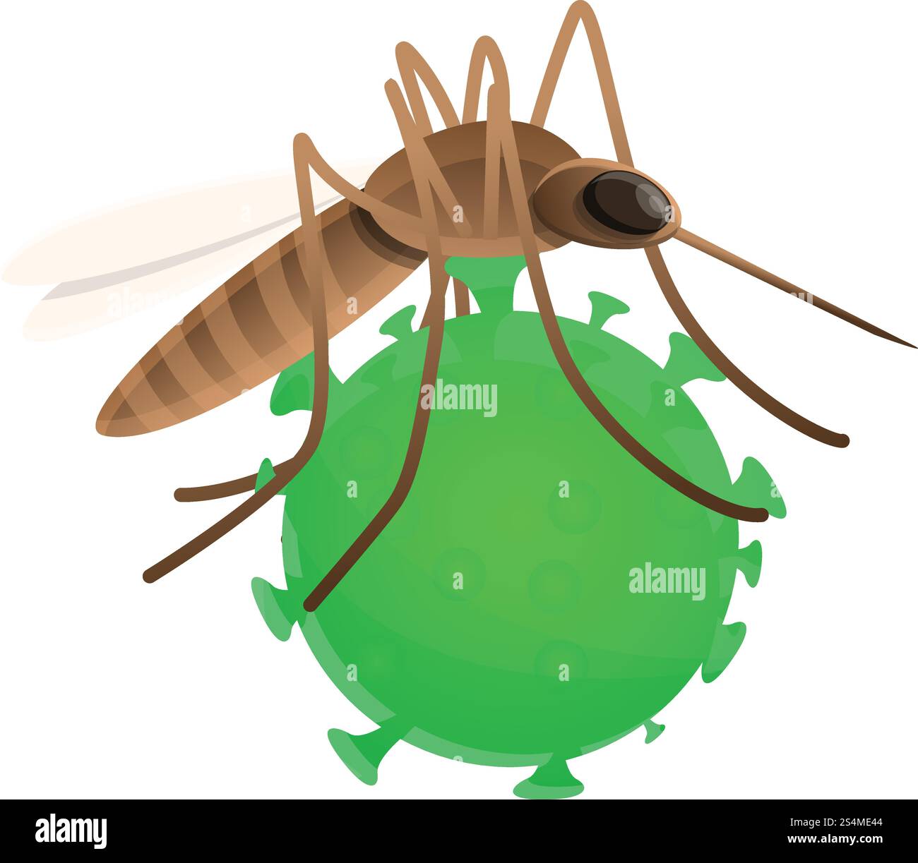 Zika insect icon. Cartoon of zika insect vector icon for web design ...