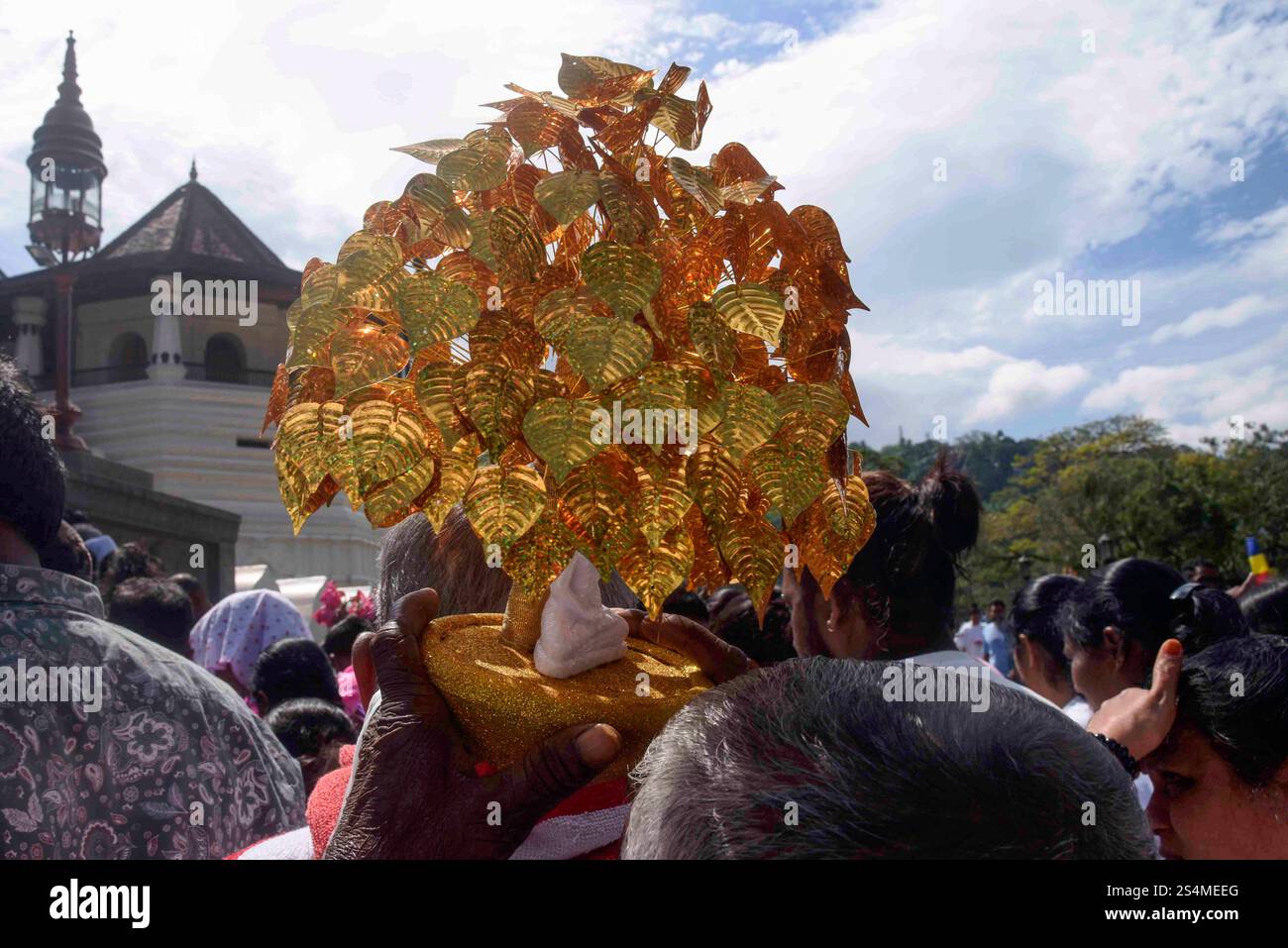 Duruthu Poya Day in Sri Lanka A devotee carries the symbol of Boo Tree ...