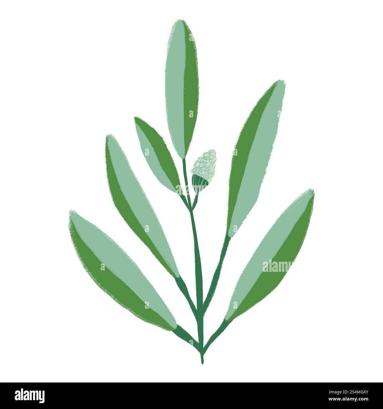 A minimalistic illustration of a green plant with elongated leaves and a single flower bud This elegant, simple design captures the delicate beauty of Stock Photo