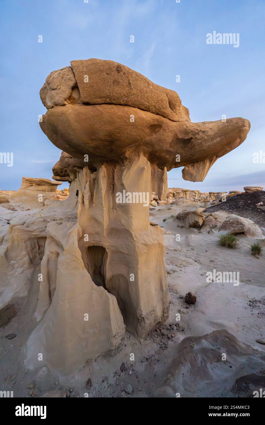Explore the unique rock formations of Bisti De-Na-Zin Wilderness in New