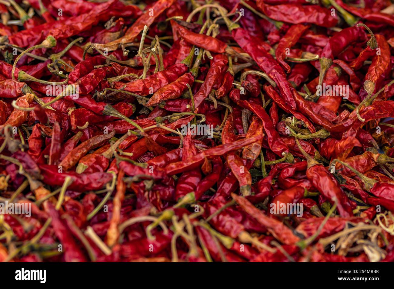 A background of a table full of spicy chilli Stock Photo