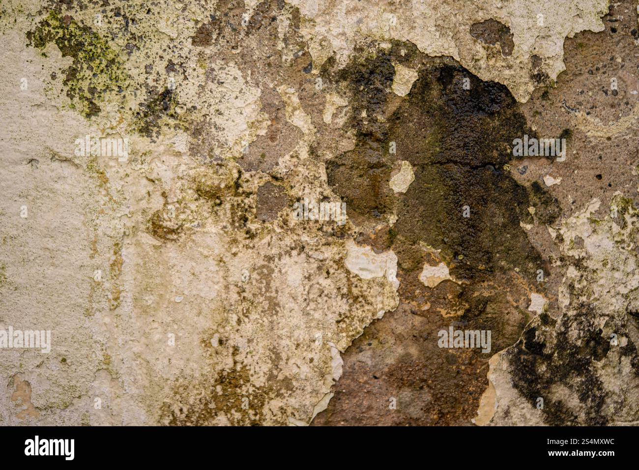 peeling and mouldy paint on a wall Stock Photo - Alamy