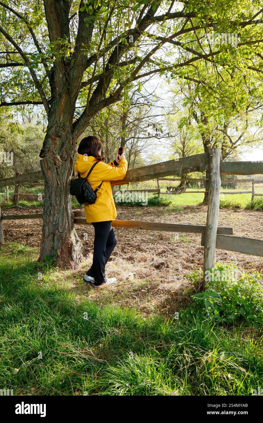 Woman in a yellow jacket walking by an old fence, taking a photo Stock ...