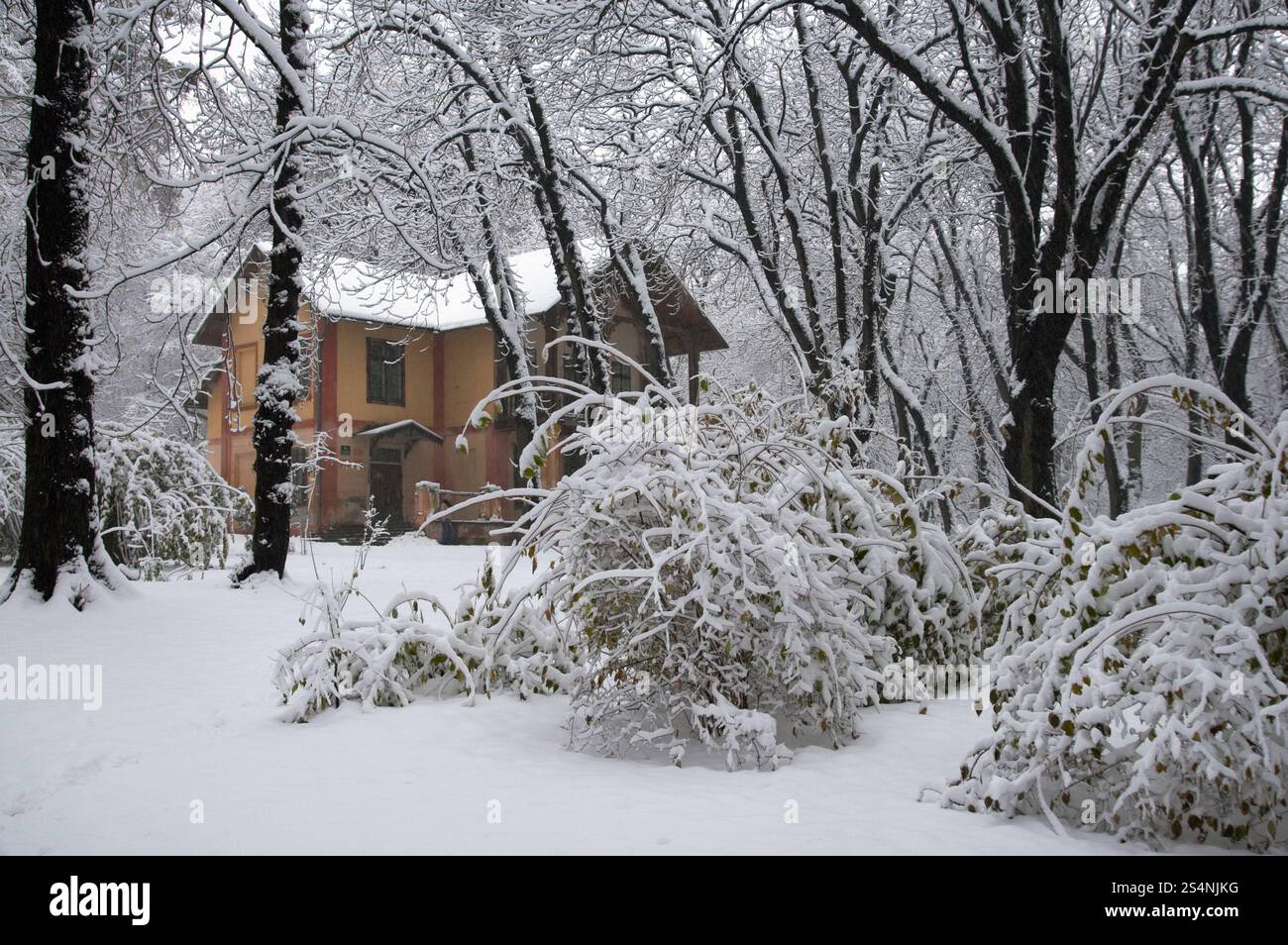 detached house in winter snow covered city park (dull day) Stock Photo