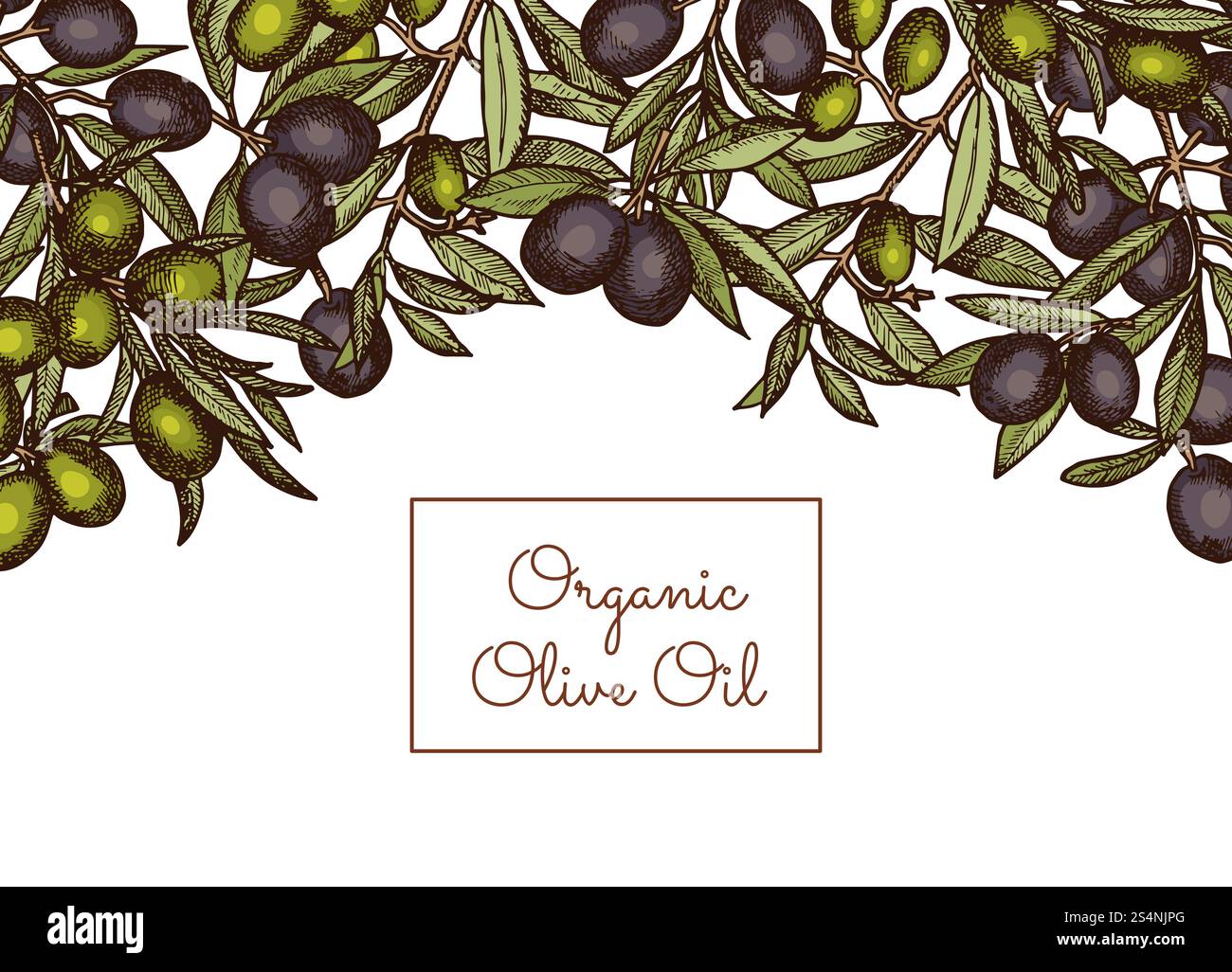 Vector illustration banner and poster with place text and hand drawn ...