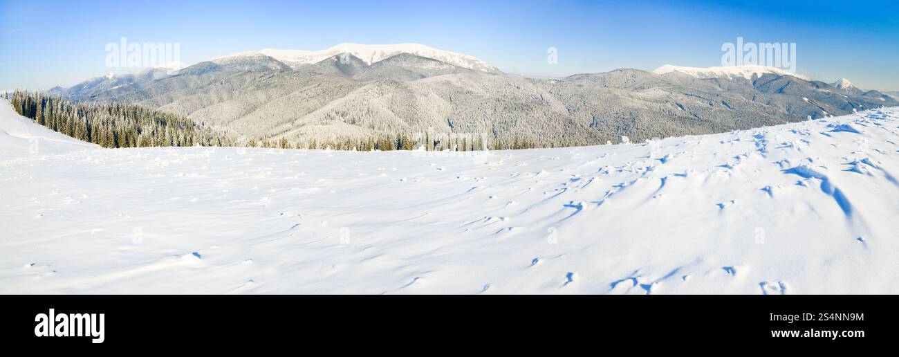 Winter calm mountain landscape with rime and snow covered spruce trees ...