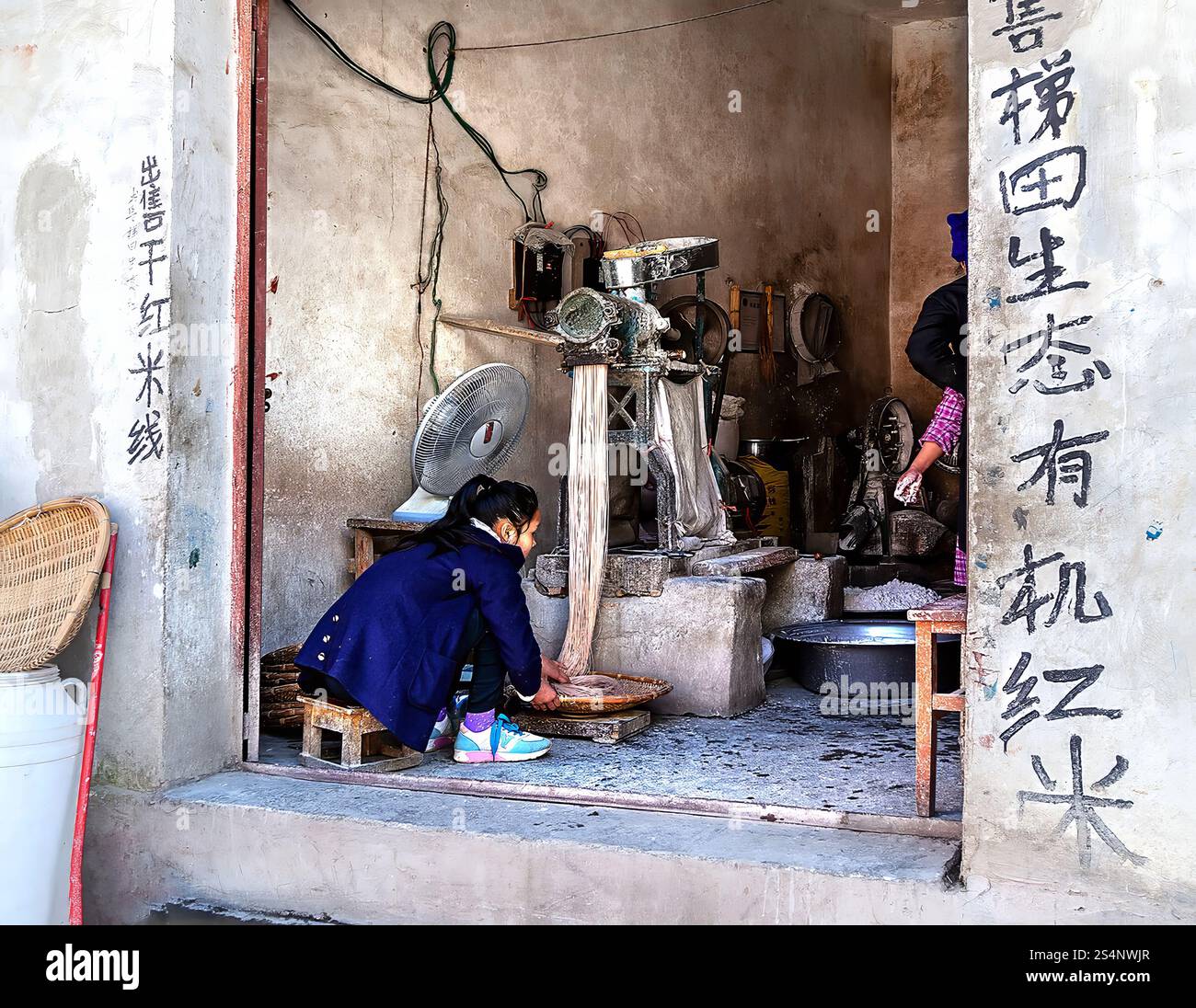 Woman engaged on making hi res stock photography and images Alamy