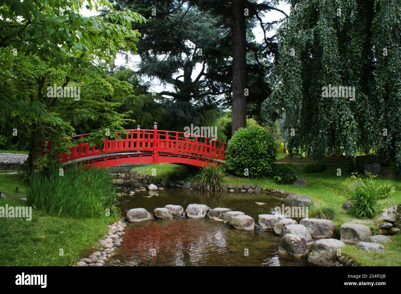 Red bridge in a japanese garden Stock Photo - Alamy