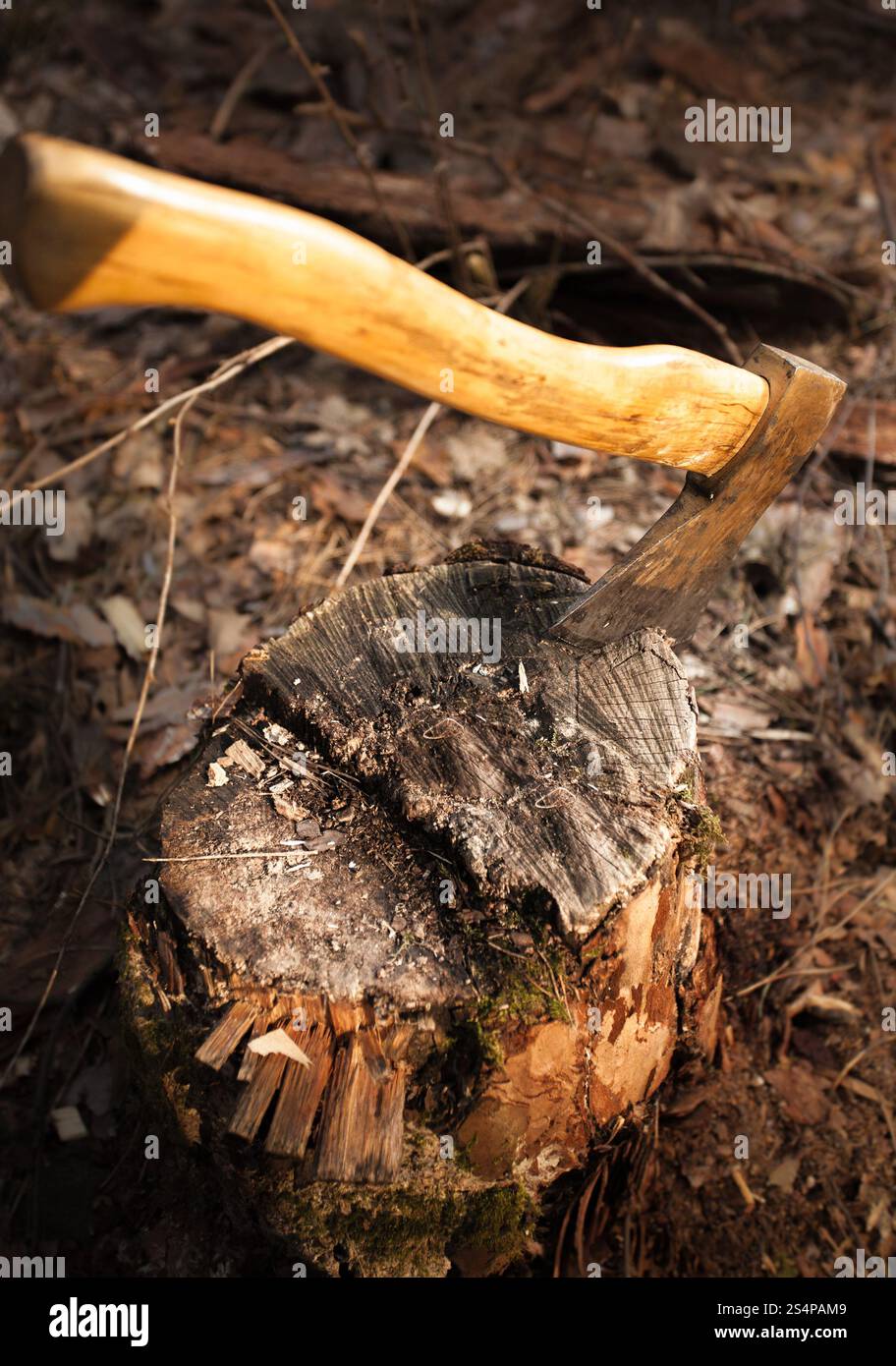 Photo of iron axe stuck in wood log Stock Photo