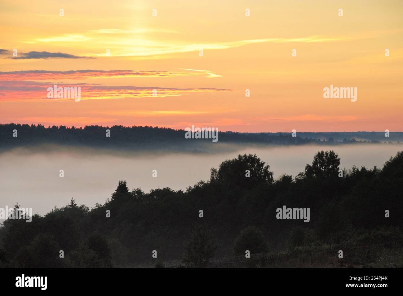 fog over ravine in forest during summer sunset, Russia Stock Photo - Alamy