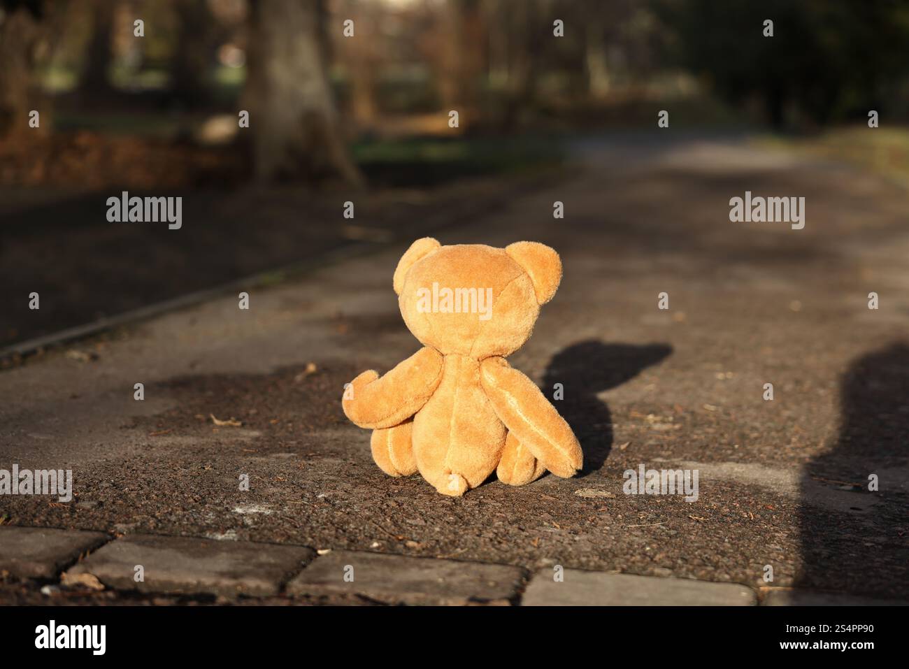 Lost brown teddy bear on ground outdoors, back view Stock Photo - Alamy