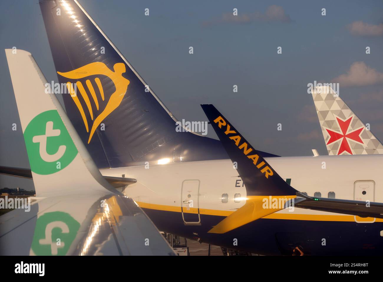 15.08.2024, Schoenefeld, Brandenburg, GER - Heckleitwerk einer Malta Air, Heckleitwerk und Winglet einer Ryanair und Winglet einer Transavia. Airline, Airport, Alltag, Anschnitt, aussen, Aussenaufnahme, Billigflieger, Billigfluggesellschaften, Brandenburg, Detail, Detailaufnahme, Embleme, Europa, europaeisch, Ferien, Fernreise, Fliegen, Flieger, Flug, Flugbetrieb, Fluggesellschaft, Fluglinien, Flugreise, Flugtechnik, Flugverkehr, Flugzeuge, Gesellschaft, Heckleitwerke, Hoehenflossen, Jahreszeit, Logos, Luft, Luftfahrt, Luftfahrtgesellschaften, Luftfahrtunternehmen, Luftverkehr, Maschinen, niem Stock Photo